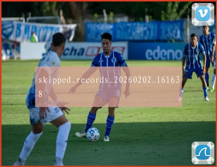 skipped_records_20260202_161638