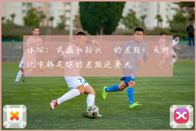 体坛：武磊和孙兴慜的差距，或许比中韩足球的差距还要大