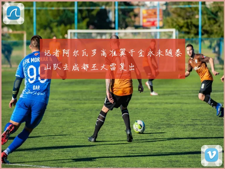 记者阿尔瓦罗高准翼于金永未随泰山队去成都王大雷复出
