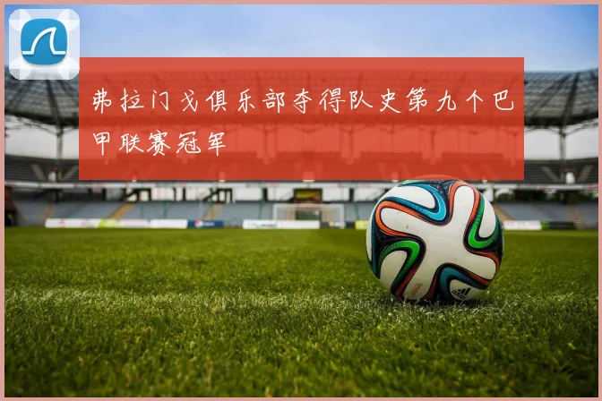 弗拉门戈俱乐部夺得队史第九个巴甲联赛冠军