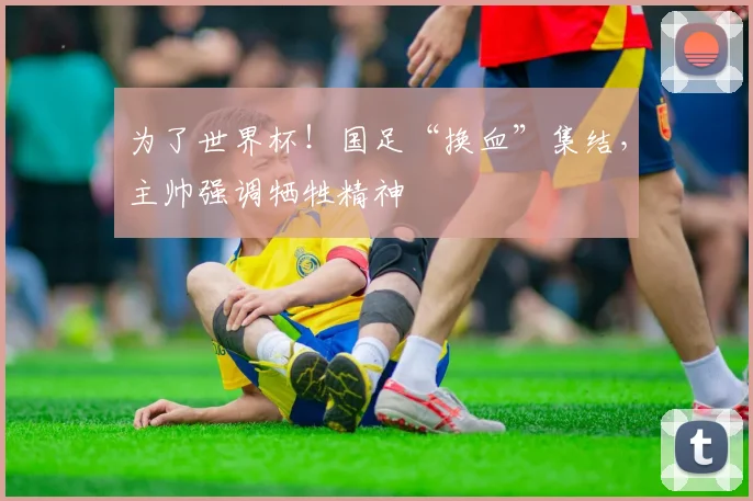 为了世界杯！国足“换血”集结，主帅强调牺牲精神