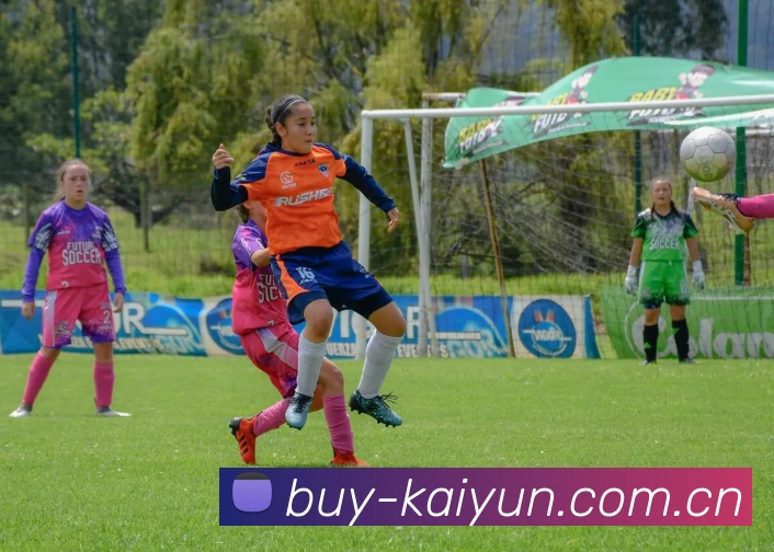 开云体育APP 封面图